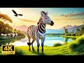 4k Ultra HD Animals World: Beautiful Wildlife Animals and Relaxing Music for Stress Relief 🌿3