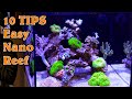 Top 10 TIPS for an EASY & Successful Nano Reef Tank