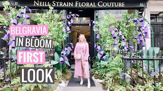 Belgravia in Bloom 2026 Begins! 🌸 London’s Fairytale Flower Festival