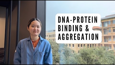 DNA-Protein Binding & Aggregation