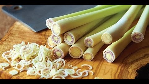 Tin Nhanh - Công dụng chữa bệnh bất ngờ của cây sả