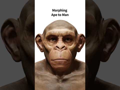 AI morphing animation - Ape to Man #shorts #monkey #ape #human #status