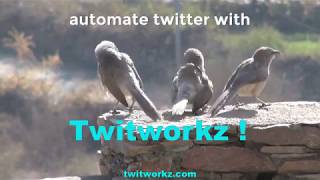 Twitter Marketing Software screenshot 1