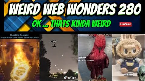 weird web wonders 280