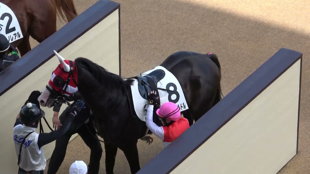 【新馬戦】池添騎手 直線で鞭を落とすも 3.1億円馬ショウナンバルドル 初戦を快勝‼ 現地映像