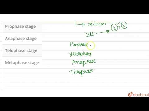 Video: Apa efek pada mitosis dalam sel yang telah diobati dengan colchicine?