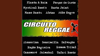 Kaya - Circuito Reggae & Canamaré
