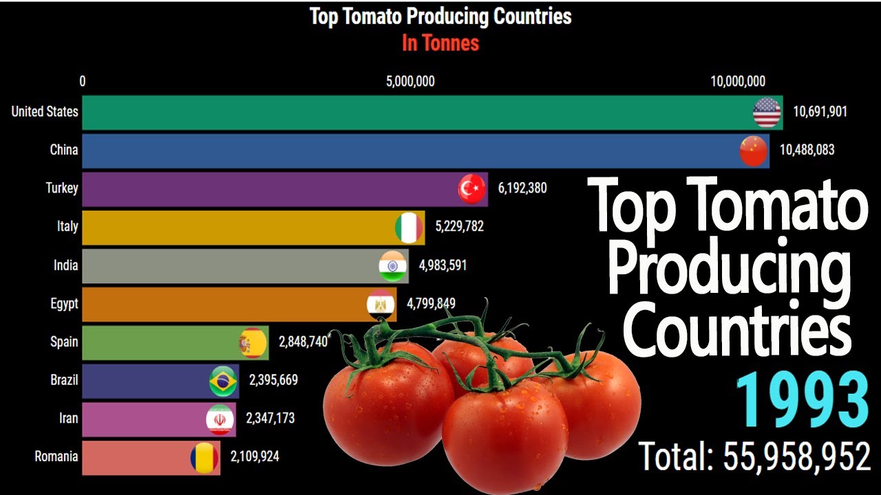 World's Largest Tomato Producing Countries 19712019 Top tomato
