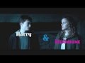 Harry & Hermione - Love Me Like You Do