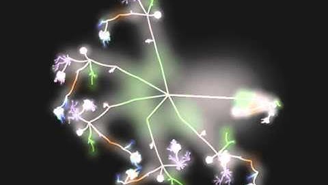 The faces of PrimeFaces