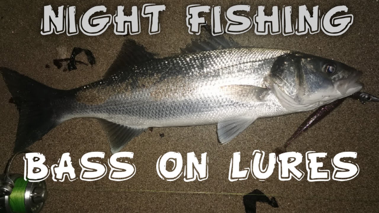 BASS ON LURES AT NIGHT YouTube