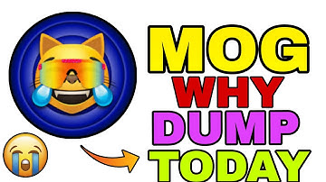 Mog Coin, waarom omlaag??😟 | Volgende zet van Mog Coin? Mog Coin, nieuwe update vandaag | Mog Cry...