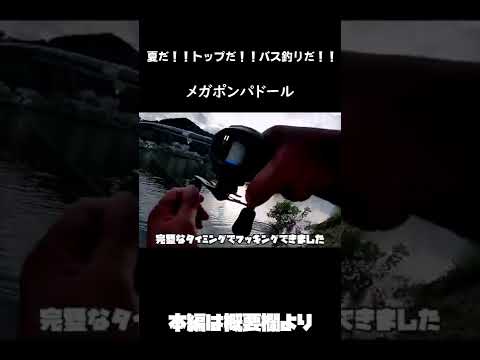 【バス釣り/瀬田川】トップの季節がやって参りました　#shorts