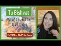 Tu BiShvat- 15 de Shvat - Cumpleaños de los arboles