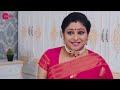 Krishna Sundari - Kannada TV Serial - Full Episode 248 - Dileep, Aadhya, Aishwarya - Zee Kannada