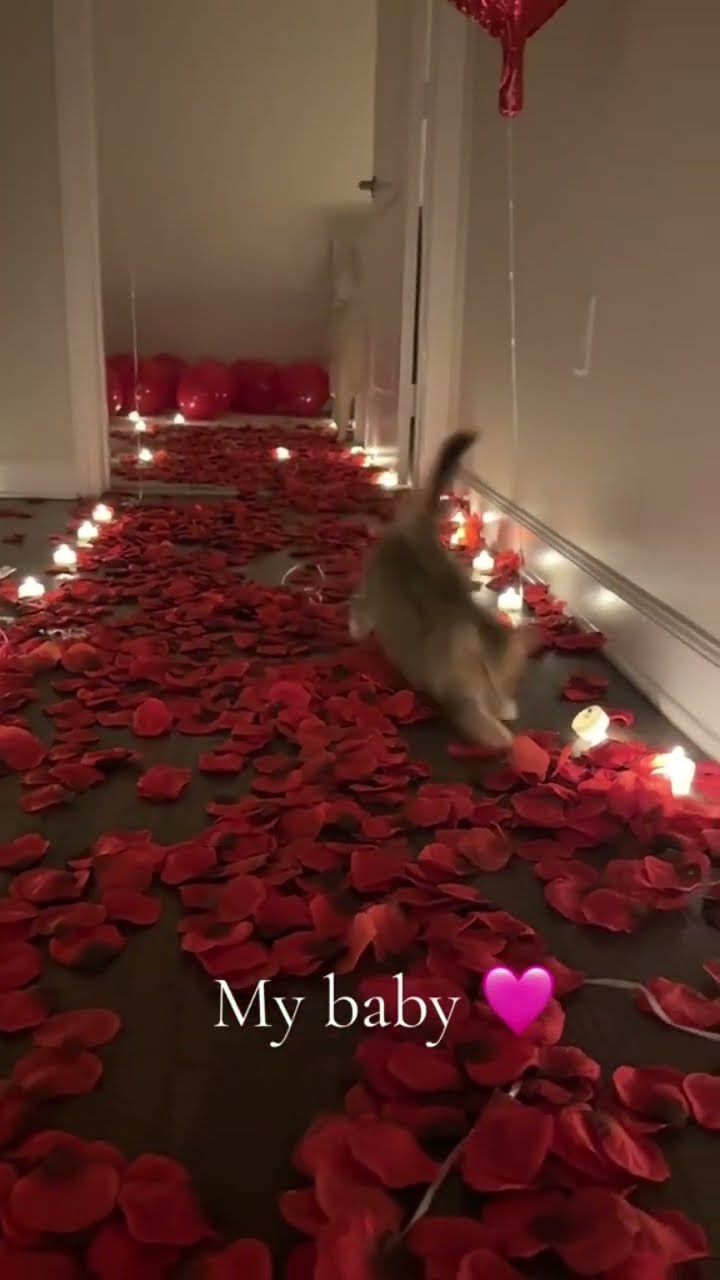 Lil kittyo baby on a sweet day prvnci sharing wholesome moment