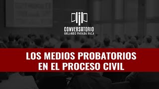 Medios Probatorios en el Proceso Civil