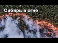 Сибирь в огне. Почему лесные пожары в России начинают тушить только после общественного резонанса.