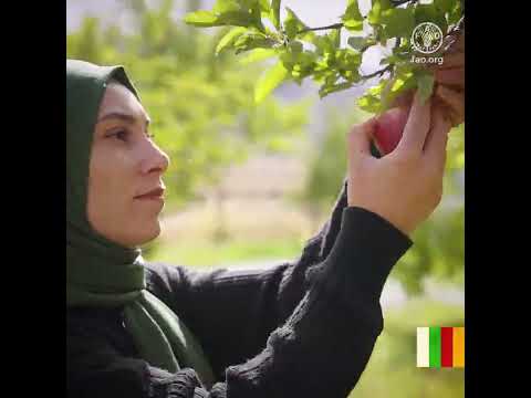 Innovate today. Nourish tomorrow - World Food Day 2026