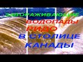 Водопады Ридо #водопады #оттава #онтарио #канада #короткоевидео #shorts