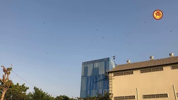 King Pentagon Testing External Sound Swiftlet168 - New Update External sounds Swiftlet house 2020