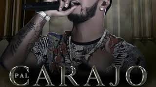 Pal Carajo - Anuel AA (Audio Original)