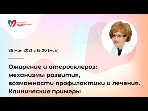 Ожирение и атеросклероз: Механизмы развития и возможности лечения