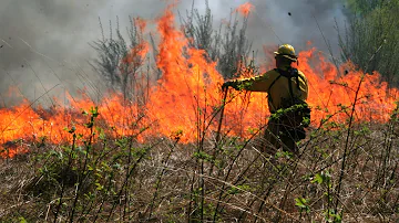 Fire Chiefs on the Impacts of Climate Change on Wildfires