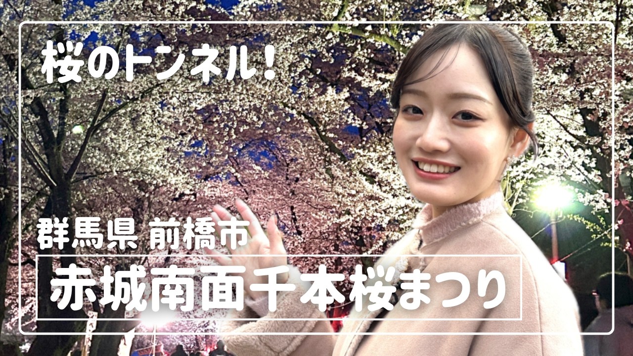 Connecting 35 Municipalities] A tunnel of cherry blossoms in full