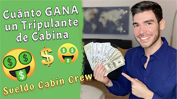 ¿Cuánto ganan al día los auxiliares de vuelo?