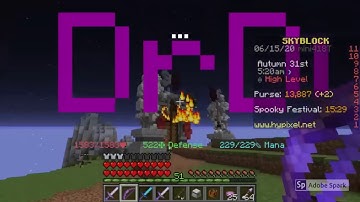 Hypixel Skyblock IS BORING