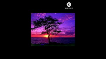 اوائل سورة الروم حالات واتساب