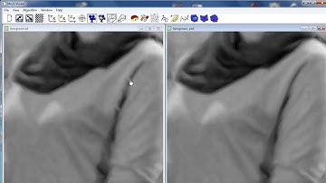 MeshViewer - Image Reconstruction by Data Dependent Triangulation