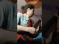 Fabienk makes an EXCELLENT slap bass riff. #anginedepoitrine #slapbass #basscover #bassist #bass