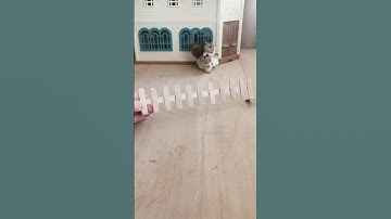 Diy : wooden stick fence for figures miniature.