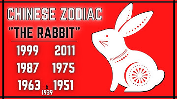 Chinese Rabbit Zodiac | Personality Traits & More!