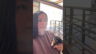 Lucky’s Surgery Recovery Update - Day 3