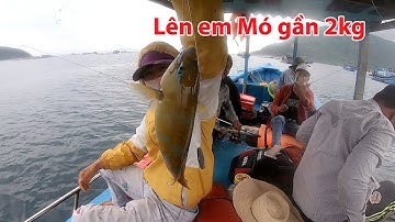 Một Ngày Câu Cá Trên Biển Tập 2 Ghe Đông Lai Vũng Rô Phú Yên