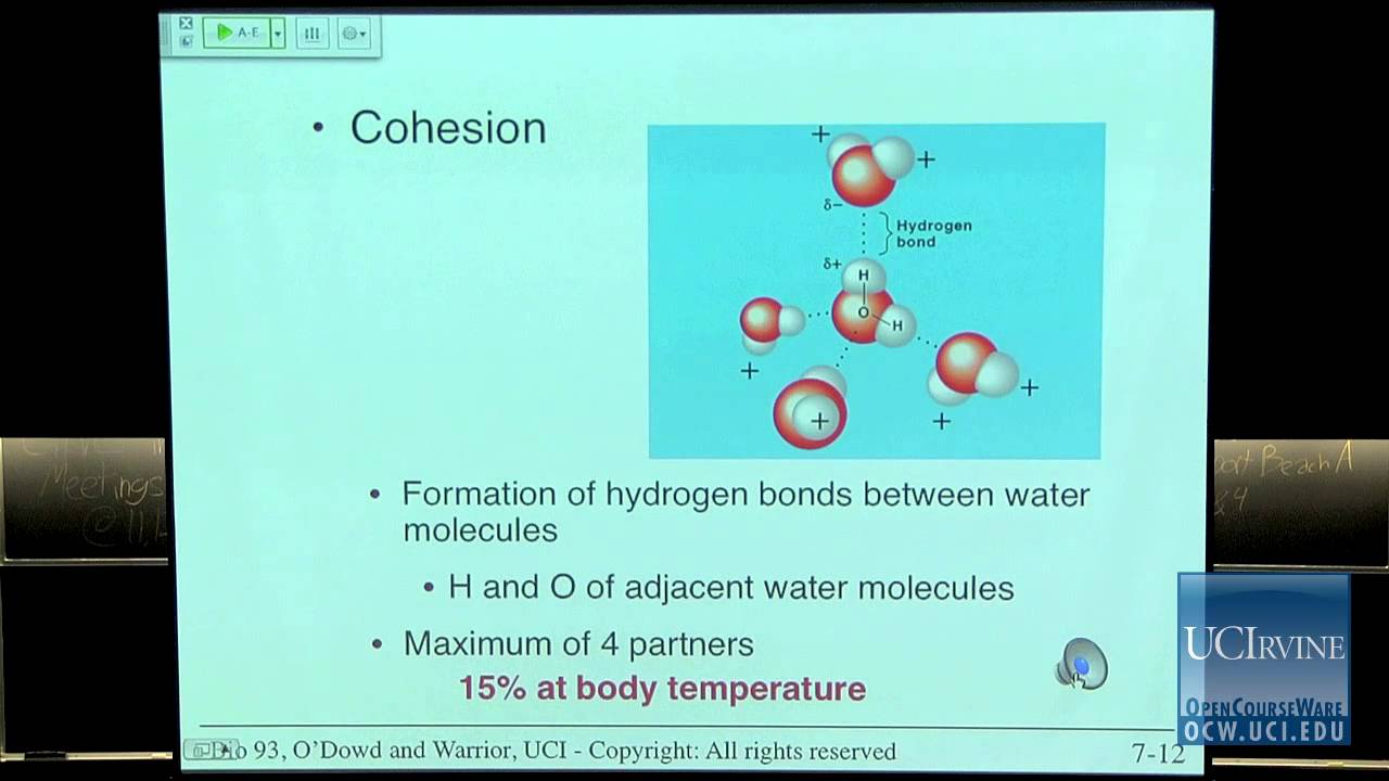 Bio Sci 93: DNA to Organisms. Lec. 7: Atoms, Molecules, and Water compounds and elements