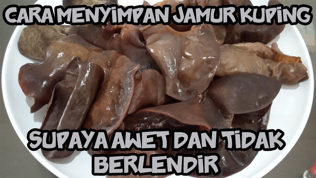 Cara menyimpan Jamur Kuping supaya awet dan tidak berlendir 