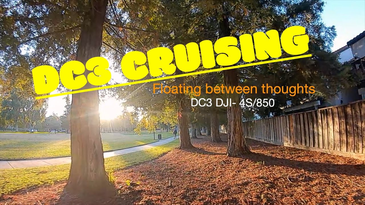 DC3 dji Park cruising