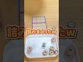 いろんな駒が詰んでしまったww #コロコロ将棋 #ボードゲーム #shorts #boardgame #ムーブ