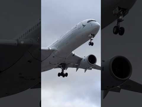 Cathay Pacific Airbus