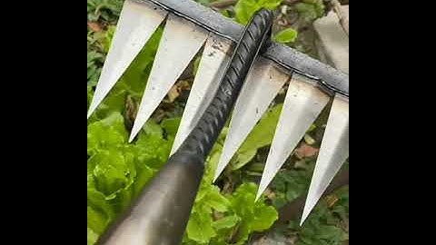 Rake homemade #shorts #video