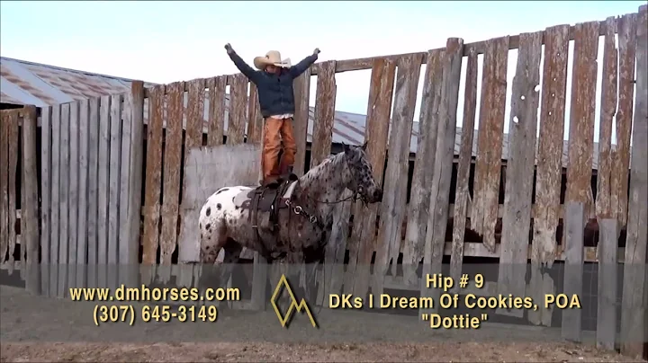 14th Annual Diamond-McNabb Ranch Horse Sale **PREV...
