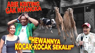 Download Lagu ARIE KRITING DATANG BAWA ROMBONGAN MAHASISWA KE DEHAKIMS!! ADA APA NIH?! PROYEK BARU?! MP3 Download Lagu ARIE KRITING DATANG BAWA ROMBONGAN MAHASISWA KE DEHAKIMS!! ADA APA NIH?! PROYEK BARU?! MP3