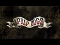 Pulp Dogs - Medley (El Cumbacero - Misirilou - Bird In Hand)