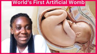 Information World’s First Artificial Womb Update