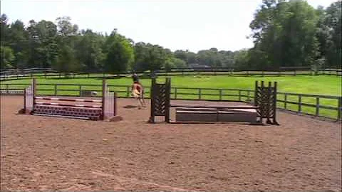 Quinn handy round