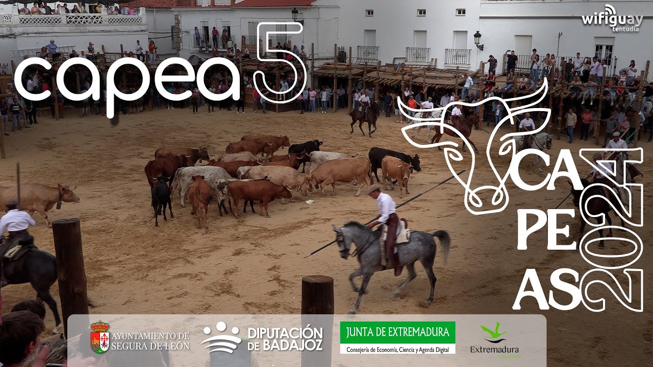 Capea LUNES 16 de Septiembre - CAPEAS Segura de León 2024